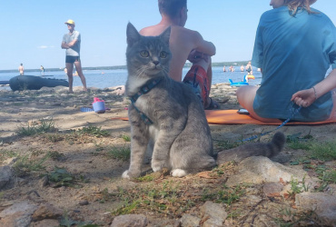 pic